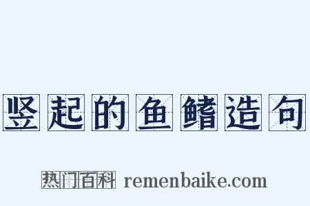 竖起的鱼鳍造句是什么意思的图片